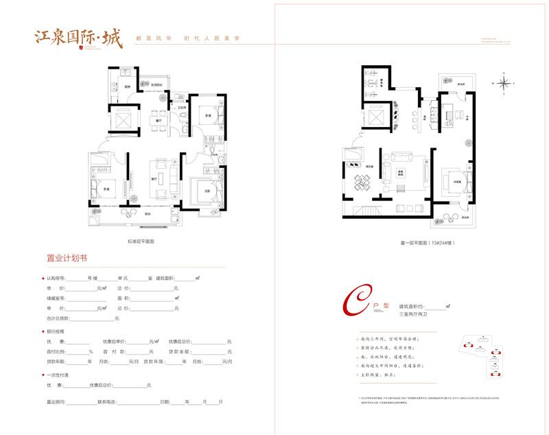 江泉國際·城 C戶型圖