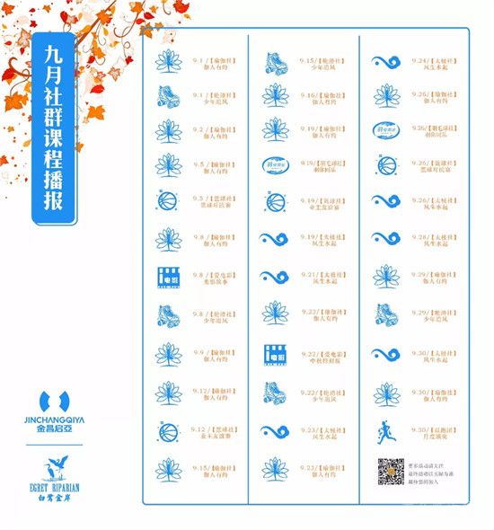 白鷺金岸太極社 | 在心與拳之間，尋一份境界