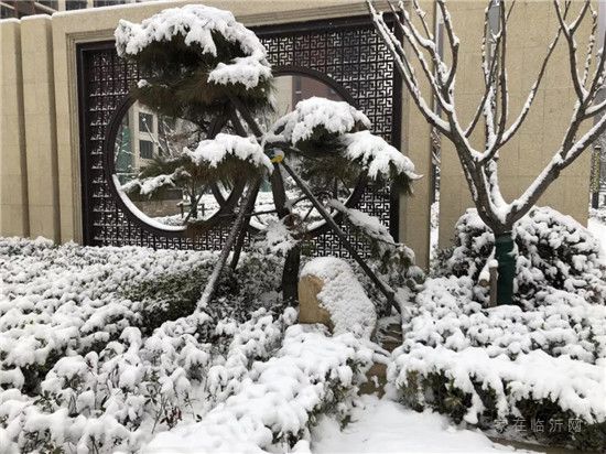 皚皚白雪映紅墻 首府雪景似畫(huà)廊