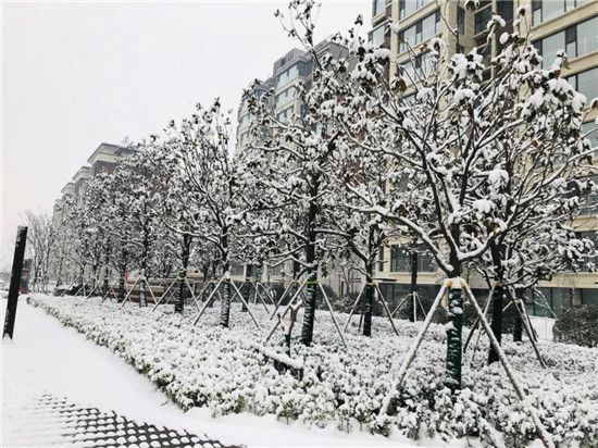 皚皚白雪映紅墻 首府雪景似畫(huà)廊