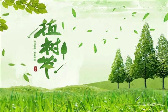 植樹節(jié) | 春意滿滿，擁抱春天