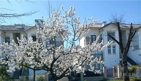 春暖花開 游蒙山|萬張門票 全城送