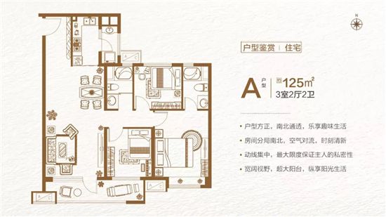 儒辰·玉蘭公館 | 這個(gè)周末，帶你邂逅一場夢幻海洋之旅！