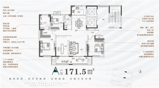 和平新城 | 助力蒜農(nóng) 每戶(hù)補(bǔ)助2000元