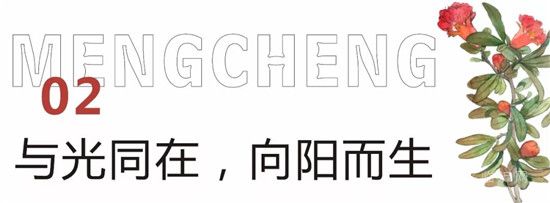 泰鑫·東望府 | 相同的生活，不同的尊貴——疊墅生活