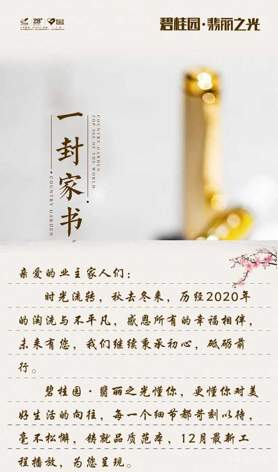 工程進度|12月致碧桂園·翡麗之光業(yè)主的一封信