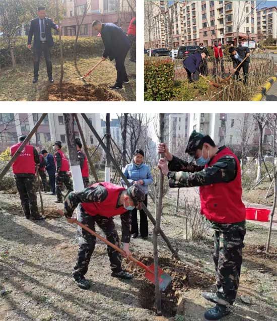 【青啤龍悅灣】綠色植樹(shù)節(jié) | 我為家園添色彩