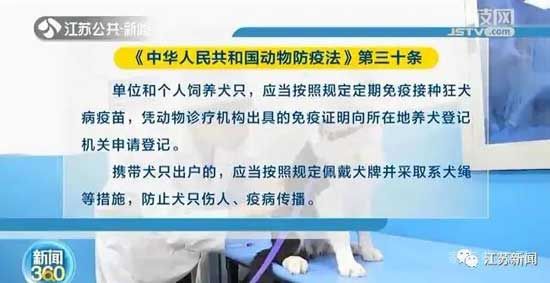 正式實(shí)施！5月1日開始遛狗不拴繩違法，這些路段將交通管制！