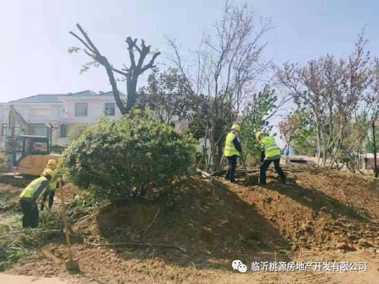 瑞德新居園林改造突飛猛進，見證‘家’速度