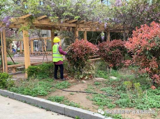 瑞德新居園林改造突飛猛進，見證‘家’速度